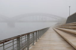 Rheinboulevard im Nebel